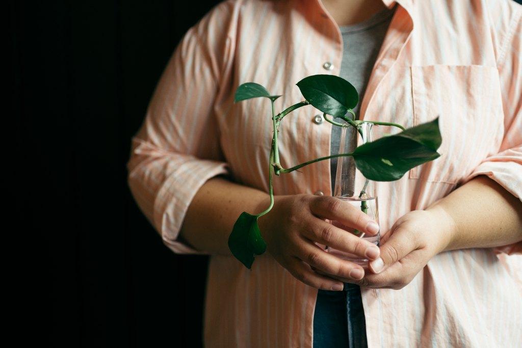 A person holding a plant in a vase, a dark background