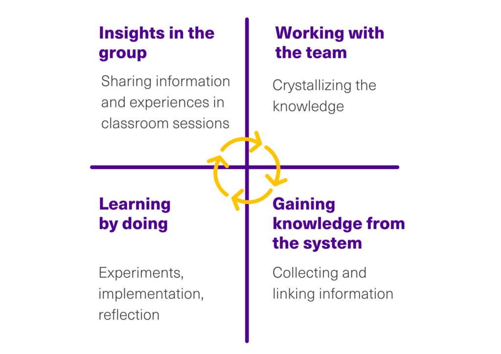 Visualization of HUBS Systemic Learning four-field: Insights in the group, working with the team, gaining knowledge from the system, learning by doing