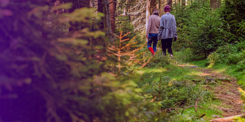 Ihmisiä kävelee metsässä.